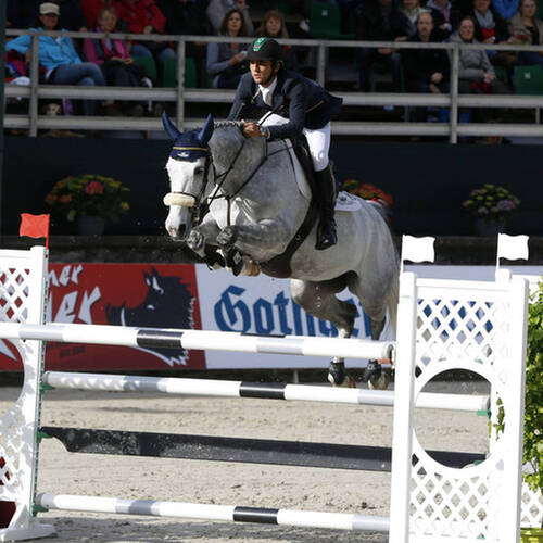 Cassandra to Michael Whitaker