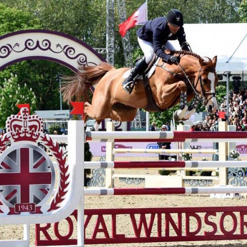 Riders & Horses for Royal Windsor Horse Show CSI 5*