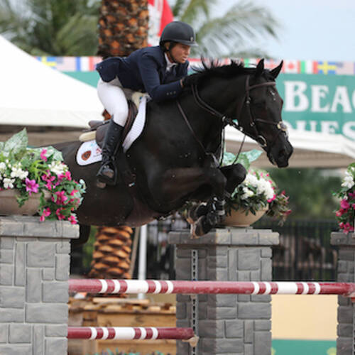 BEEZIE MADDEN AND CORTES ‘C’ REPEAT VICTORY IN $50,000 RUBY ET VIOLETTE WEF CHALLENGE CUP ROUND 12