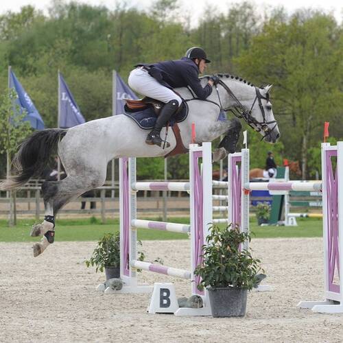 Gregory Wathelet won FEI World Breeding Jumping Championships
