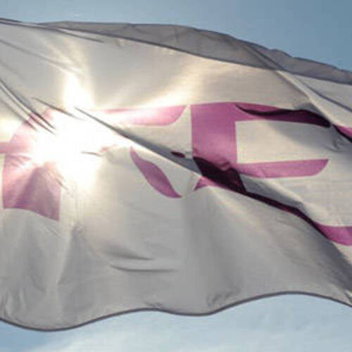 FEI Board Meeting: Key discussions and decisions