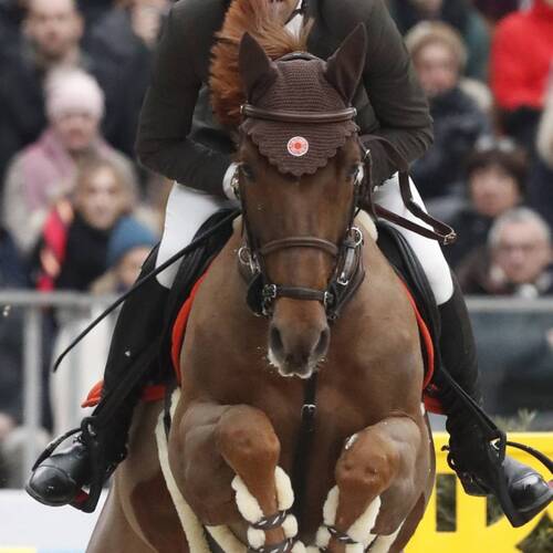 French victory in Paris at CSI5* Saut Hermès