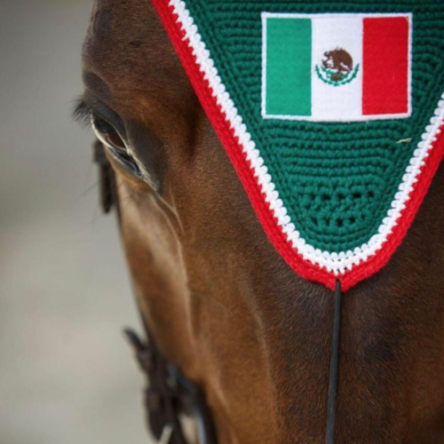 THE MEXICAN OLYMPIC TEAM FOR PARIS 2024 HAS BEEN ANNOUNCED