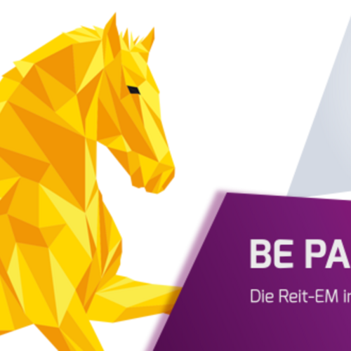 FEI European Championships : Beerbaum asks for jolt