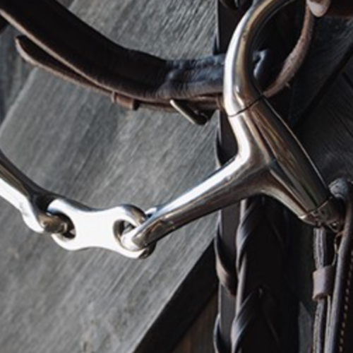 Last update of the FEI Tack, Equipment & Dress Database (FEI Tack App) before the Olympic & Paralympic Games in Paris 2024