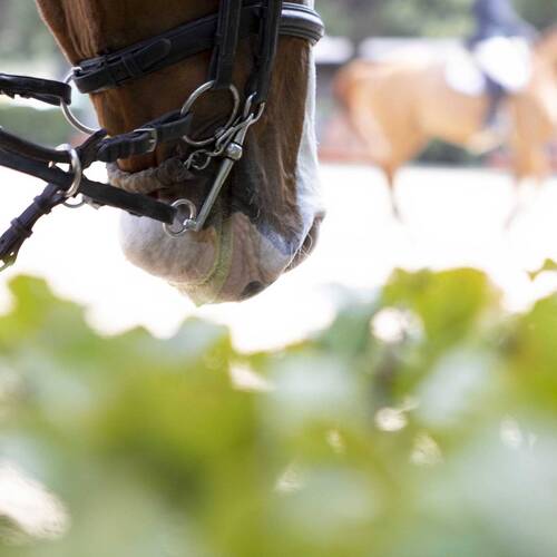 LONGINES LEAGUE OF NATIONS™  - 2024 CALENDAR