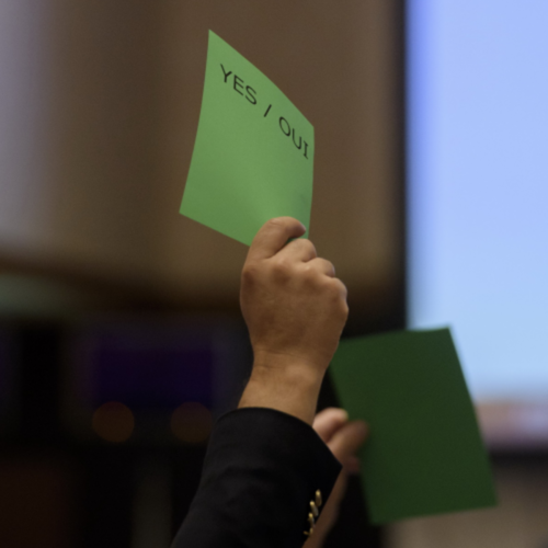 FEI GENERAL ASSEMBLY VOTES IN FAVOUR OF OLYMPIC AND PARALYMPIC RULE CHANGES