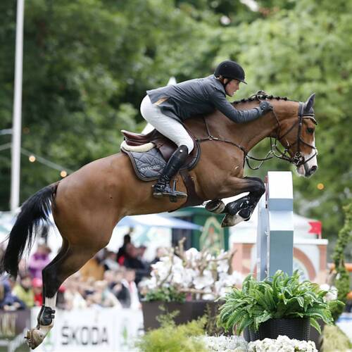 Cameron Hanley lost his horse Antello Z