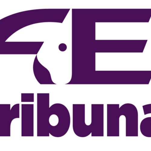FEI Tribunal imposes 10-year suspension on US Jumping athlete