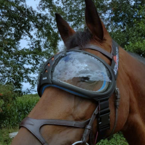 Veterinary regulations 2023