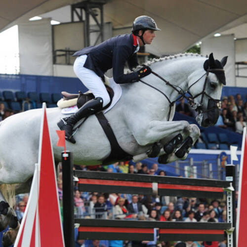 Third top British horse ruled out of Europeans