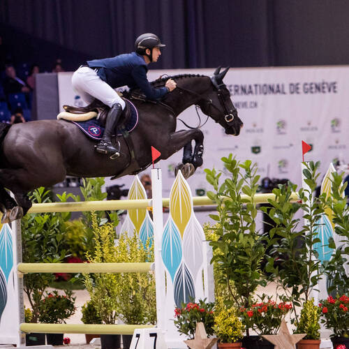 IJRC's Board member Steve Guerdat, is still world number one!