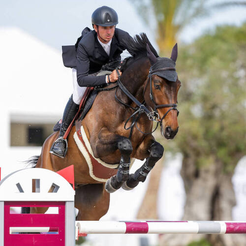 STEVE GUERDAT, IJRC's BOARD MEMBER AND WORLD NUMBER ONE, OLYMPIC INDIVIDUAL GOLD MEDALLIST, THREE-TIME WINNER OF THE WORLD CUP AND... A FIVE-STAR DAD!