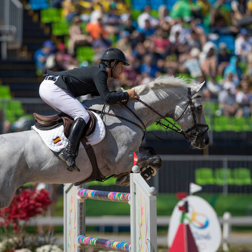 TOKYO 2020 OLYMPIC GAME: THE DROP SCORE, THE ROLE OF POTENTIAL RESERVE HORSE/RIDER COMBINATIONS, THE JUMPING FORMAT: THE VOICE OF THE TOP INTERNATIONAL ATHLETE SERGIO ALVAREZ MOYA