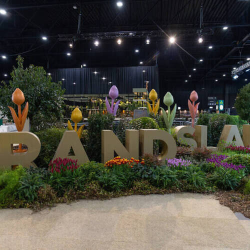 INSIDE THE ROLEX GRAND SLAM OF SHOW JUMPING: THE DUTCH MASTERS HIGHLIGHTS 2025