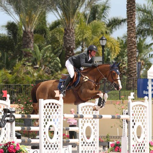Wellington-Florida: Darragh Kenny and Quiz Win $34,000 Spy Coast Farm 1.45m Speed
