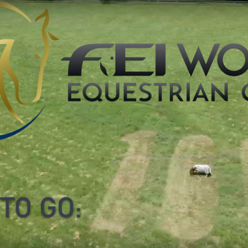 100 days to go…FEI World Equestrian Games™ Tryon 2018