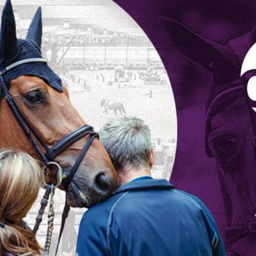 FEI WORLD EQUESTRIAN GAMES™ TRYON 2018