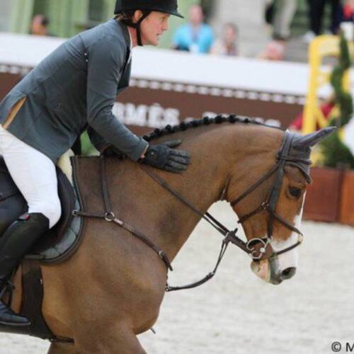 ANTELLO Z RETURNS TO CAMERON HANLEY