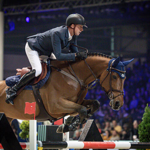 Maher and Dallas are the show-stealers in Verona