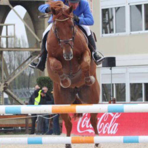 GERCO SCHRÖDER: SOON LONDON WILL BE BACK IN ACTION