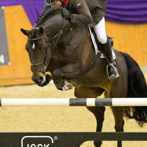 John Whitaker wins the Glock’s Grand Prix qualification