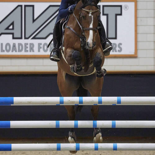 Spotlight on Young Talent: Meet the 11 Riders of the YRA Team 2025