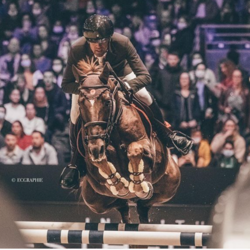  Hermes Ryan, the little French lion, wins Verona qualifier for Delestre