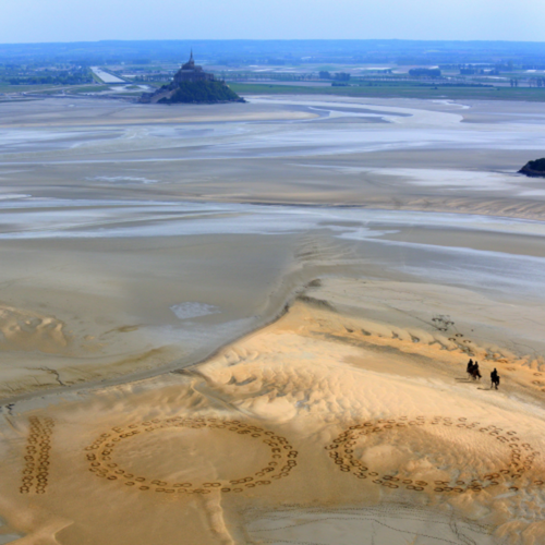 AllTech FEI World equestrian games™ 2014 in Normandy: D-100: the countdown has begun ! 