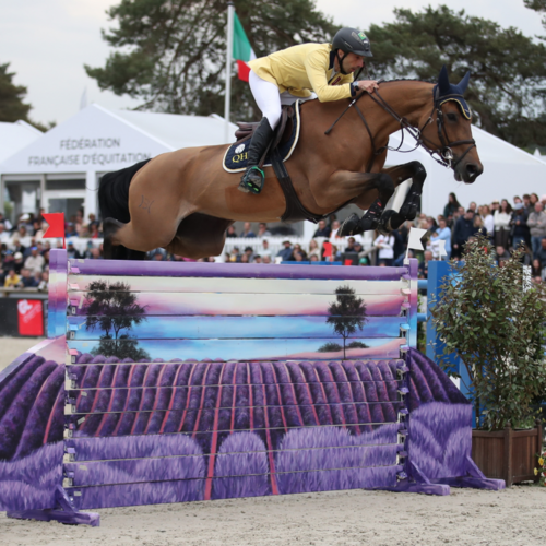 Highlights of the Weekend