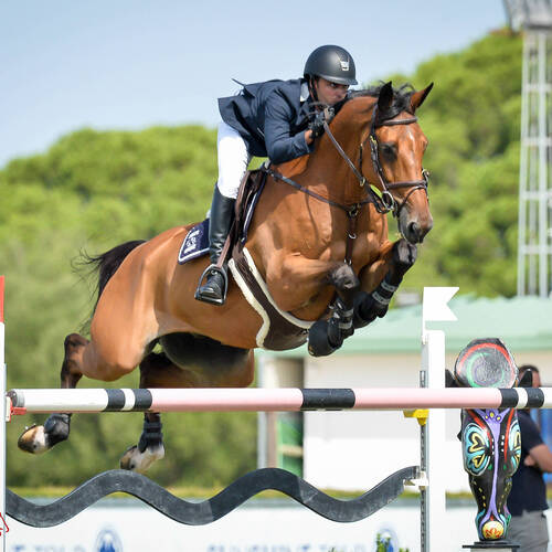 Sunshine tour: Marcelo Chirico with QH Baloudarc LF from Uruguay, wins today’s Gran Prix and Tokyo, 2021 Olympic qualifier