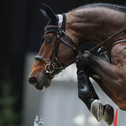 The story behind United Touch S