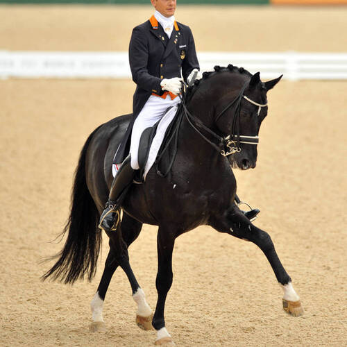 Totilas Dies at 20 Years Old