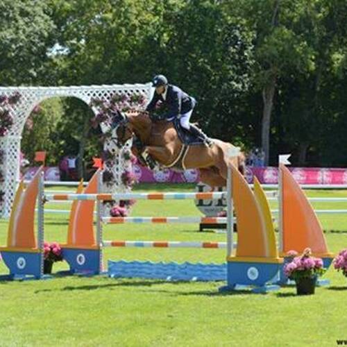 Patrice Delaveu will ride a new talented horse