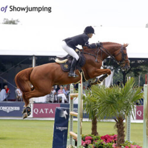 Old Chap Tame to Saudi Arabia