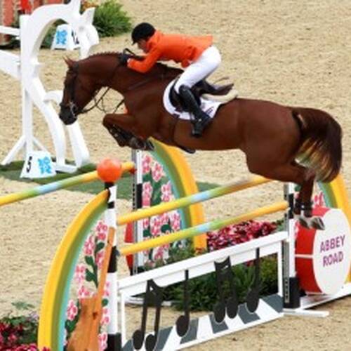 Eurocommerce Jumping Stables and top horses up for auction