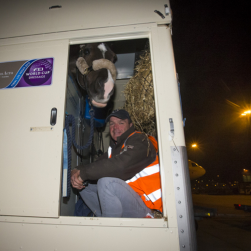 “WE GIVE HORSES WINGS” – VEGAS HORSE PARTY TAKES TO THE AIR  