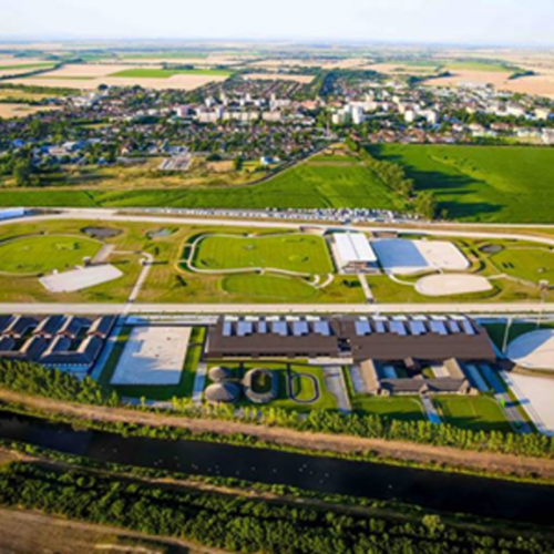 X-BIONIC® SPHERE: 4 outstanding equestrian highlights in 2017 under the guidance of Denis Monticolo.