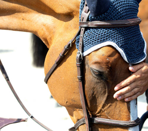 FEI ANTI-DOPING RULES