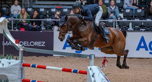 Copyright ©FEI/Kim C Lundin