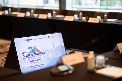 FEI BOARD MEETING