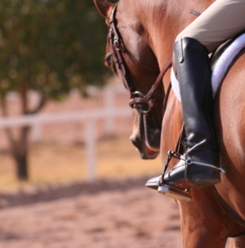 FEI publishes Return To Competition measures for mainland Europe