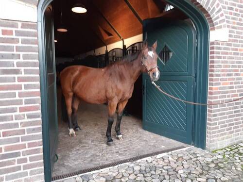  Touch of Class (Photo: Private)