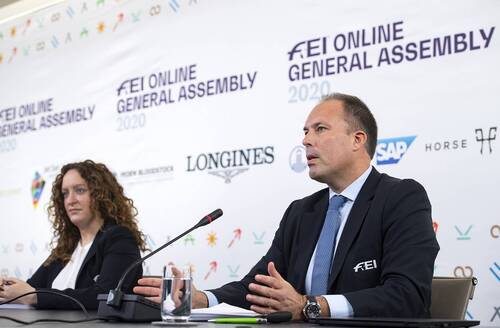 FEI Online General Assembly 2020