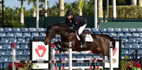 Kent Farrington with Austria 2