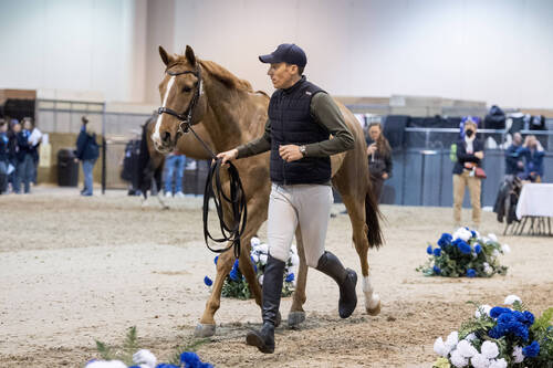 Longines FEI Jumping World Cup™ Finals 2023Omaha NE (USA).Horse Inspection jumping.Von Eckermann Henrik with King Edward