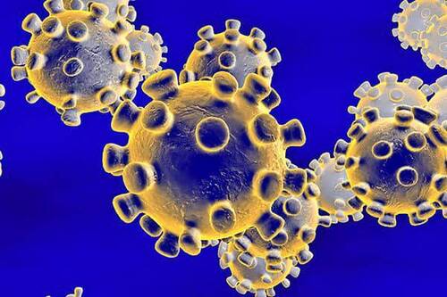 Equine Coronavirus
