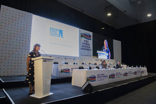 FEI Hybrid General Assembly Cape Town (RSA) 2022 .FEI Hybrid General Assembly Cape Town (RSA) 2022 .Professor Dr. Natalie WARAN attends Equine Ethics and Wellbeing Commission meeting on 12 November 2022