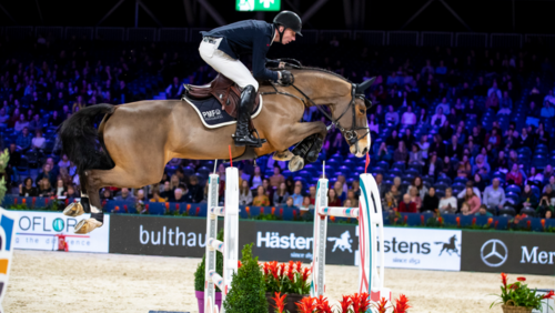 2021 JUMPING AMSTERDAM CANCELLED! ORGANISATION BRAINSTORMS ABOUT ALTERNATIVE ACTIVITIES