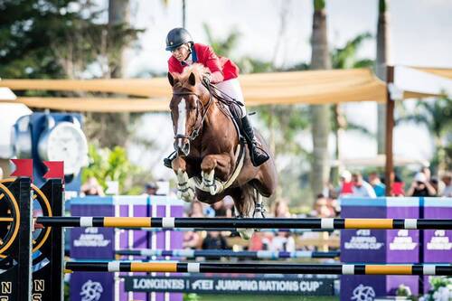 FEI Press Release By Louise Parkes